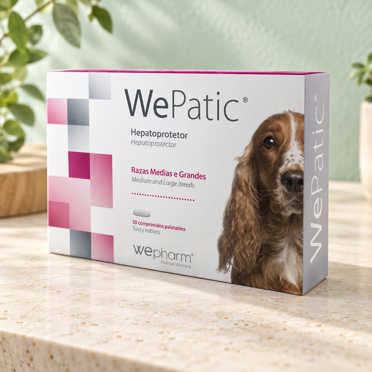 Get A Vet | wepatiCARE לכלבים בינונים וגדולים במשקל 10-40 קג | רקע לפי קטגוריה