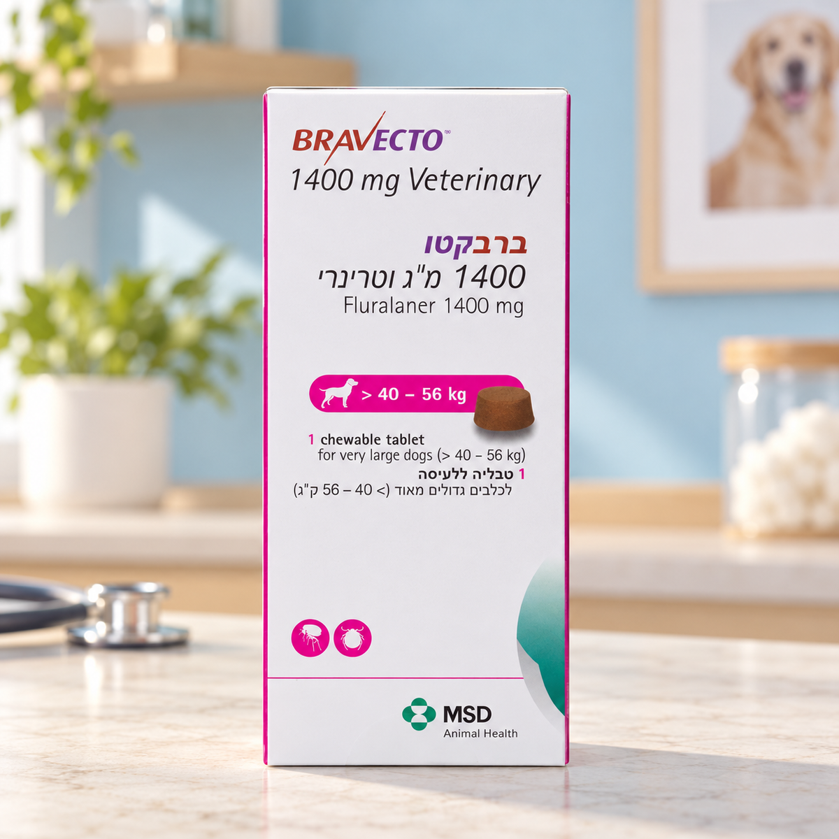 Get A Vet | ברבקטו לכלב במשקל 40-56 קג טבליה לעיסה ל3 חודשים | רקע לפי קטגוריה